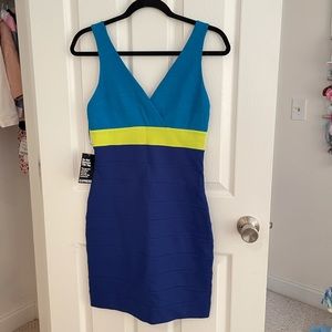 express fitted dress